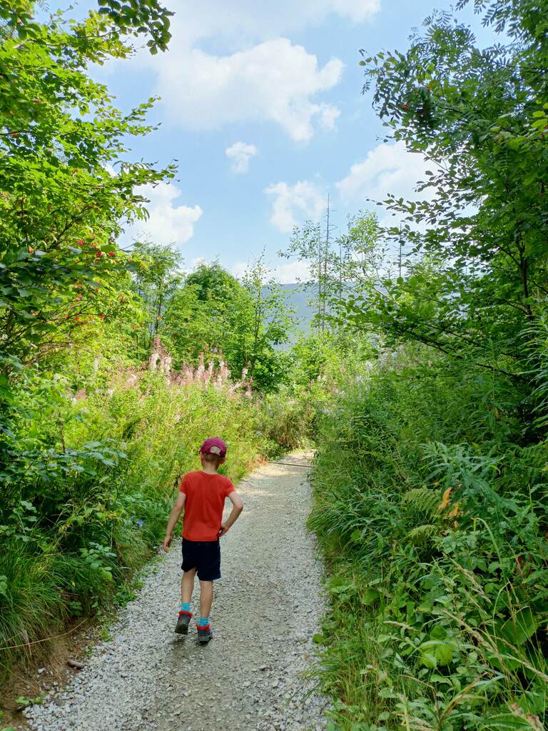 Z Nosalowej Przełęczy do Doliny Olczyskiej