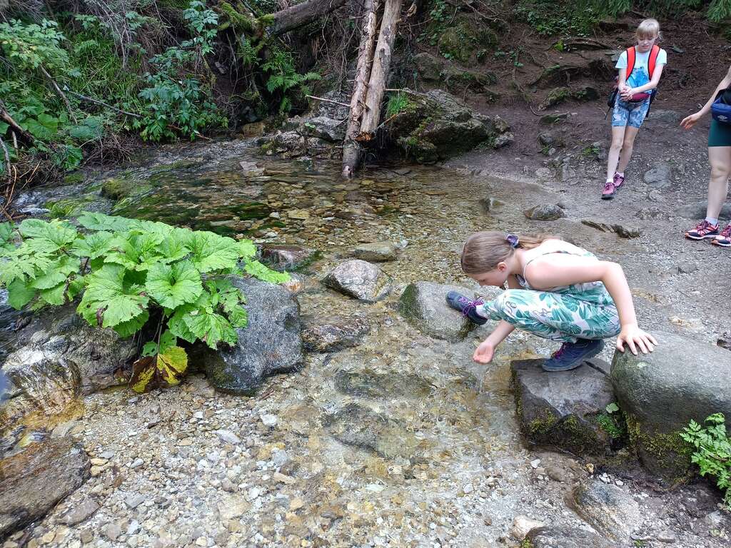 Wywierzysko Olczyskie