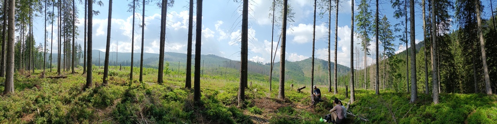 Polana Olczyska z dziećmi